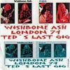 [1974_teds_last_gig cover art v1]