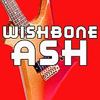 [2010_wishbone_ash_download_only_liverpool_bootleg cover art]