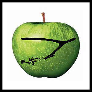 [First Light cover art - preliminary V1, front]