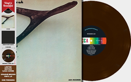 [1st album cover art, front - culture Factory DL 75249]