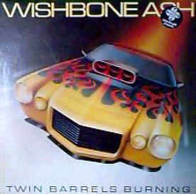 [Twin Barrels Burning cover art 2]
